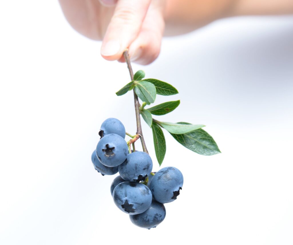 Certified dietitians says blueberries are the healthiest fruit