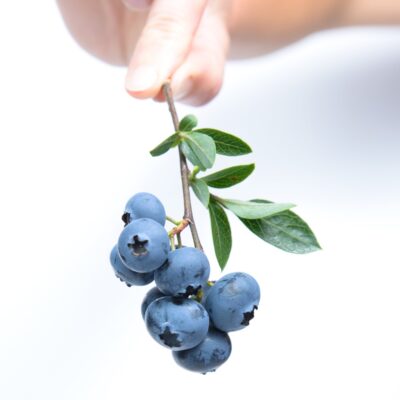 Certified dietitians says blueberries are the healthiest fruit