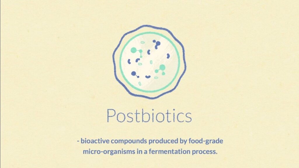 Learn when to Take Postbiotics for Maximum Benefits