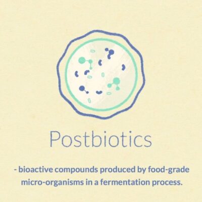 Learn when to Take Postbiotics for Maximum Benefits