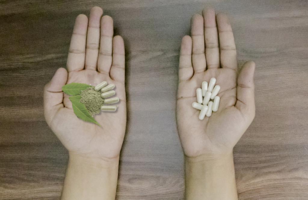 Understanding the Difference between Herbal and Allopathic Medicine