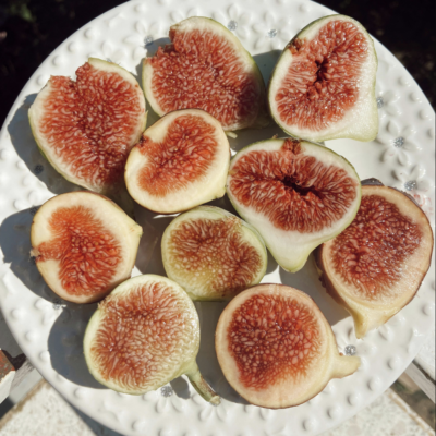 Fuel Your Body with the Power of nutrients in Figs