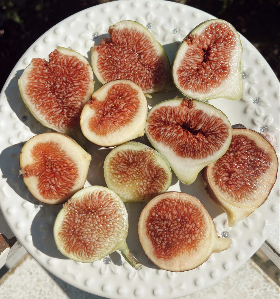 Fuel Your Body with the Power of nutrients in Figs