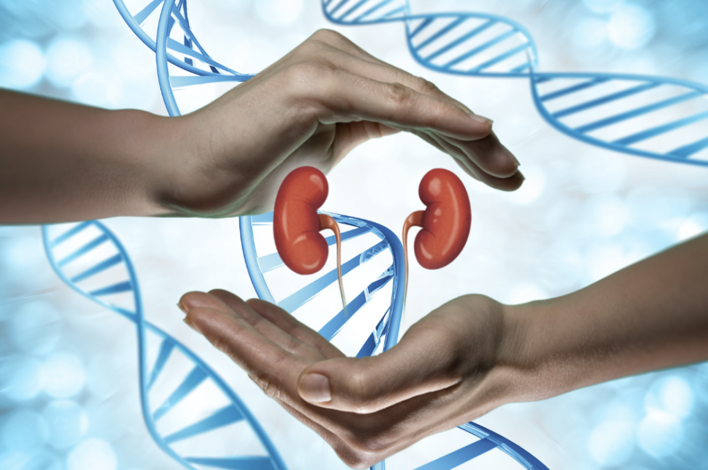 Common Genetic Factors Associated with Kidney Stones