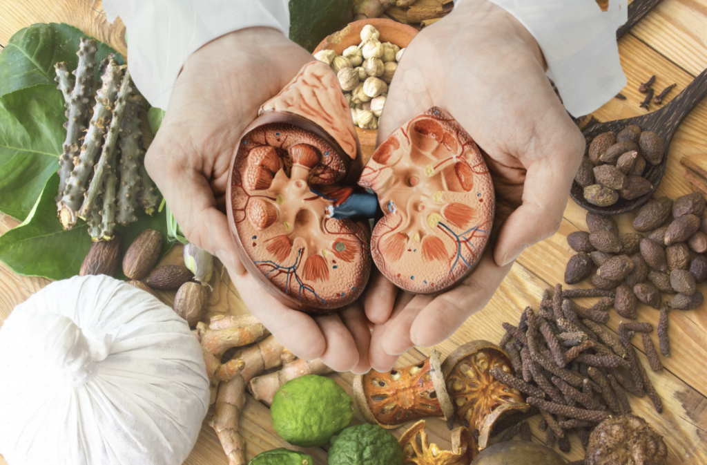 Does Ayurvedic Medicine Really Affect Your Kidneys?