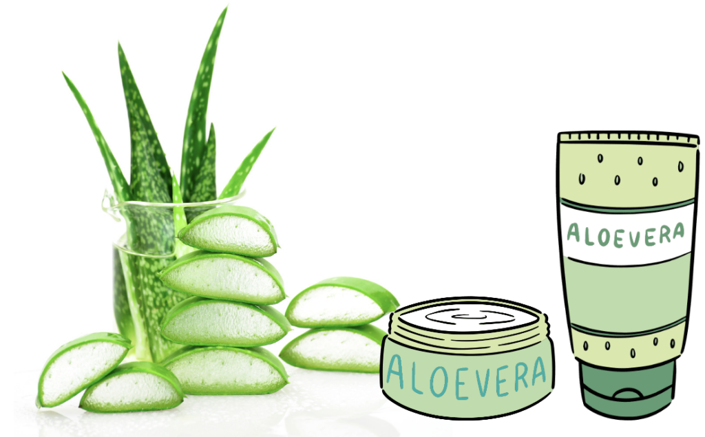 Transform Your Skincare Routine with Aloe Vera