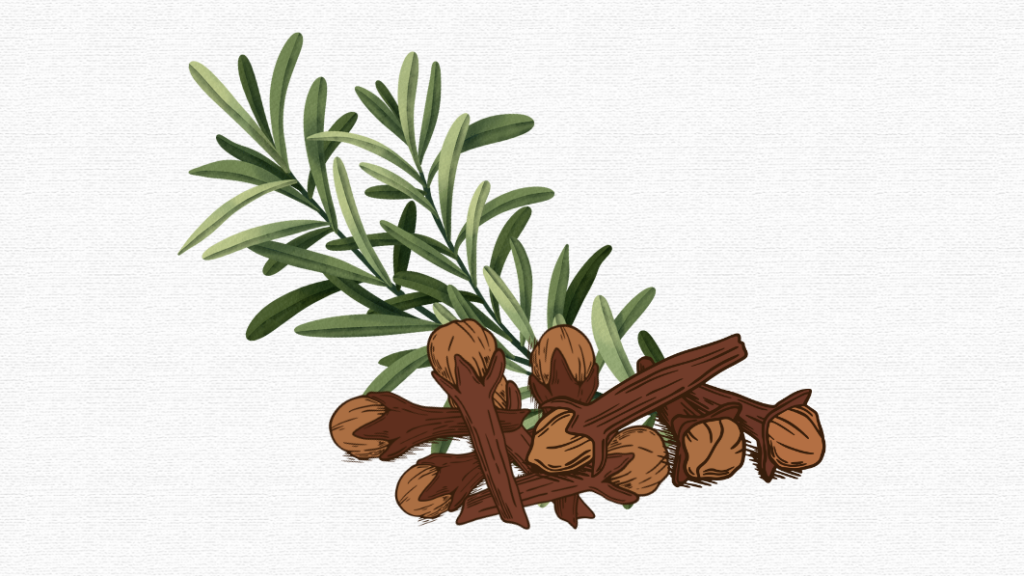 Why Rosemary and Clove Water are a Match Made in Heaven