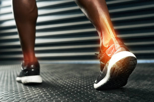 Diet and Nutrition for Bone and Joint Health