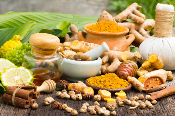 Ayurvedic Perspective on Kidney Health