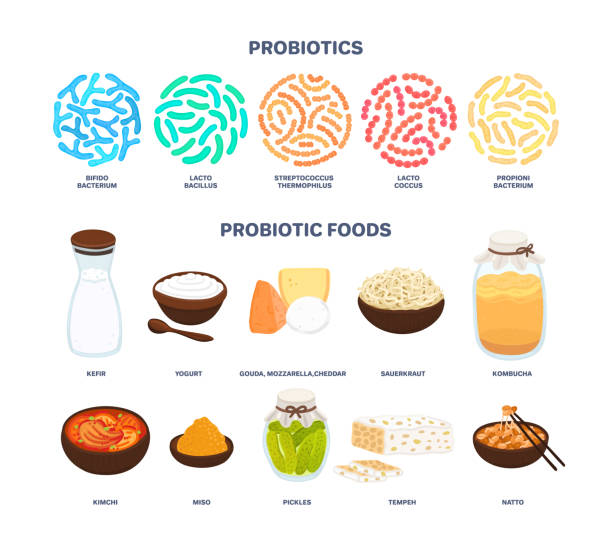 Probiotics and Their Effect on Oral Health