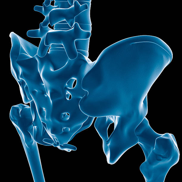 Causes of Anterior Pelvic Tilt