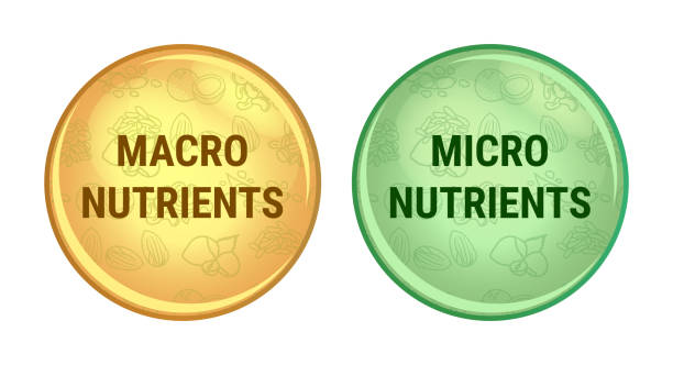 Macronutrients and micronutrients play an important part in deciding whether a food is healthy or unhealthy.
