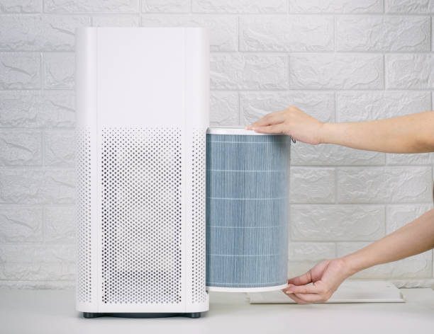 Alternatives to Air Purifiers for Improving Indoor Air Quality