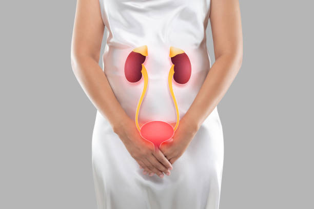 Urinary incontinence and urinary tract infections (UTIs) are distinct illnesses, however they may be connected.