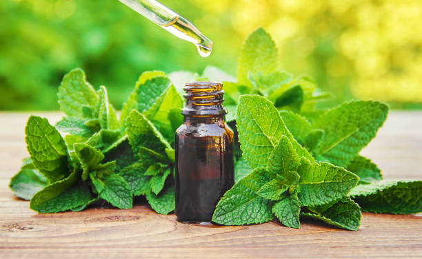 Peppermint Oil Products Available in the Market