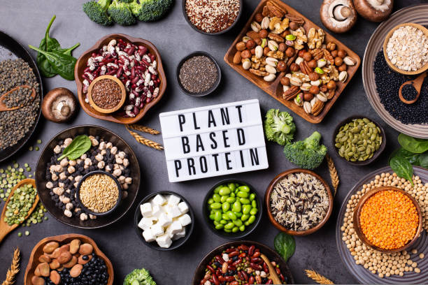 Considerations for a Balanced Vegan Diet