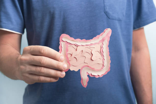 The Difference Between Probiotics and Prebiotics
