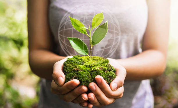 Fundamentals of Eco-Conscious Wellness