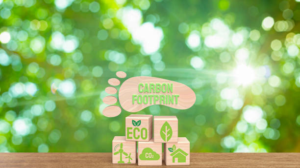 Environmental Impact and Sustainable Practices