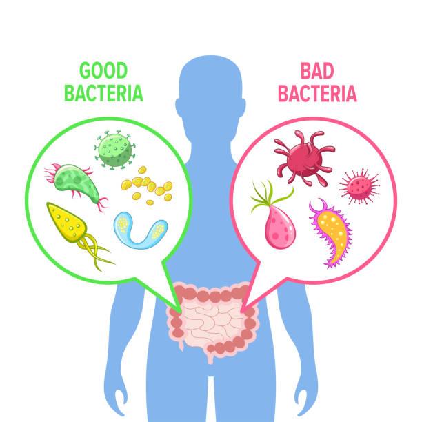 Understanding Probiotics
