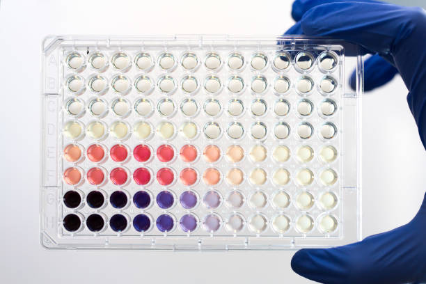 Treponemal Tests for Specific Antibody Detection