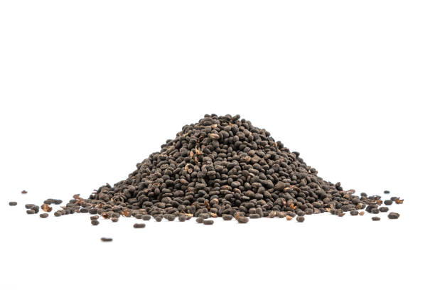 Understanding Bakuchiol and Its Origins