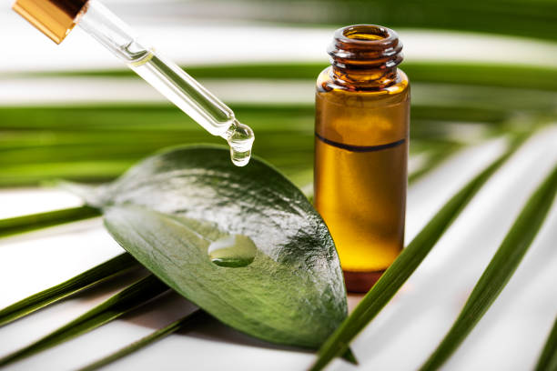 Tea Tree Oil for Dandruff