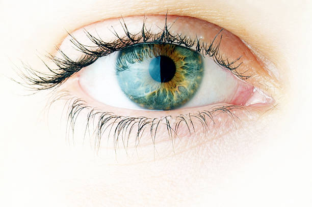 Understanding Eye Health and Vision