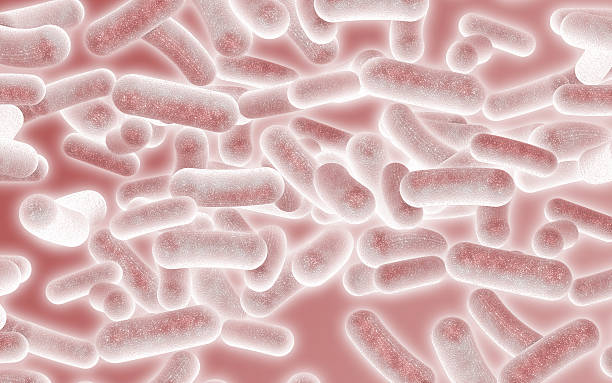 The Benefits of Postbiotics for the Immune System