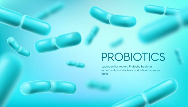 The Relationship between Prebiotics, Probiotics, and Postbiotics