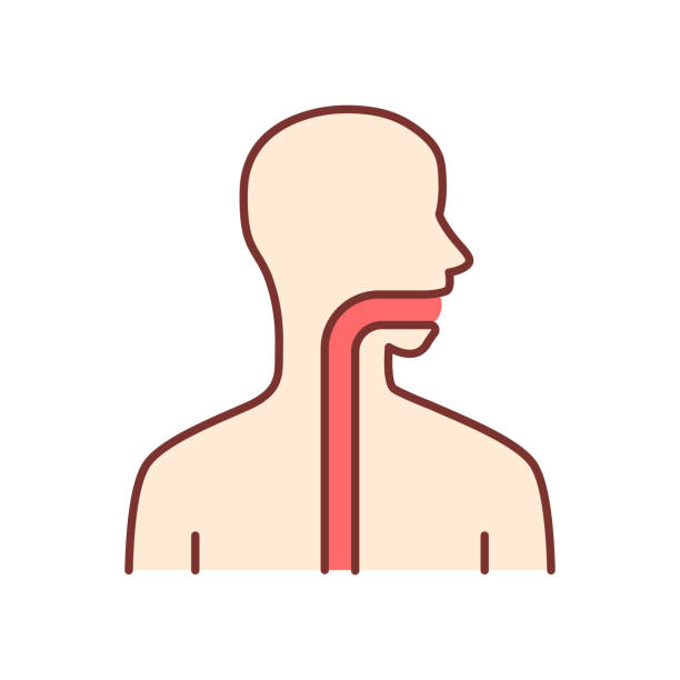 Surgical Interventions