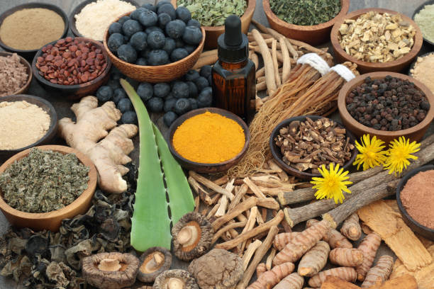 Alternative Approaches to Consider Instead of Combining Allopathic and Ayurvedic Medicines