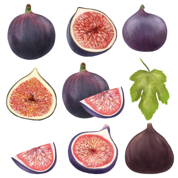 In addition to particular diets, there are other innovative methods to incorporate figs into your daily meals and snacks.