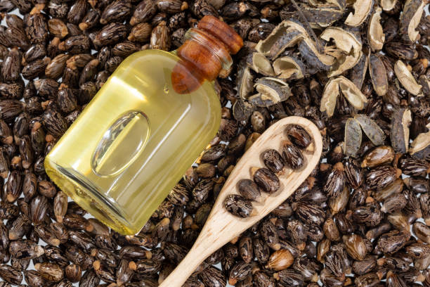 The role of castor oil in promoting bone health