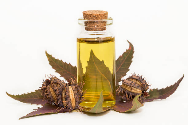 How to use castor oil for bone health