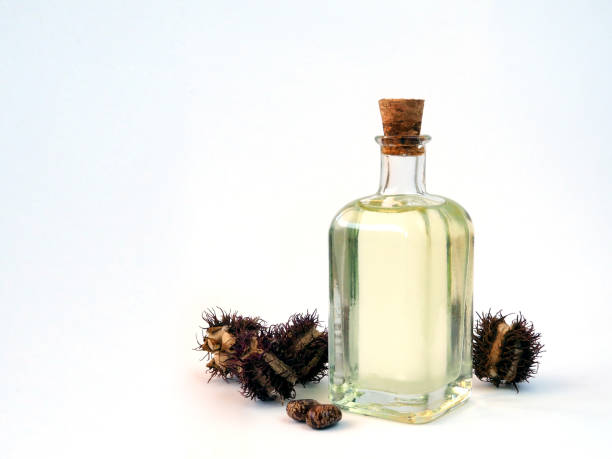 The Health Benefits of Castor Oil