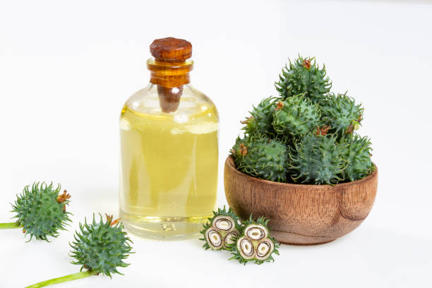 How to Use Castor Oil for Health Benefits