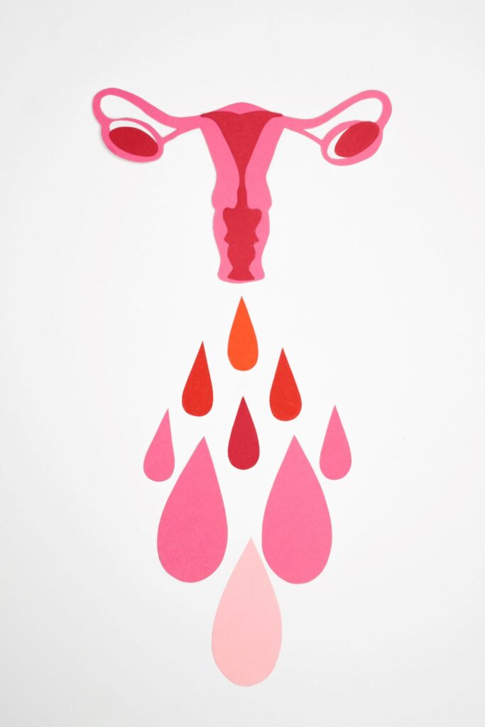 Unlocking the Secrets: Taking Care of Your Female Reproductive System
