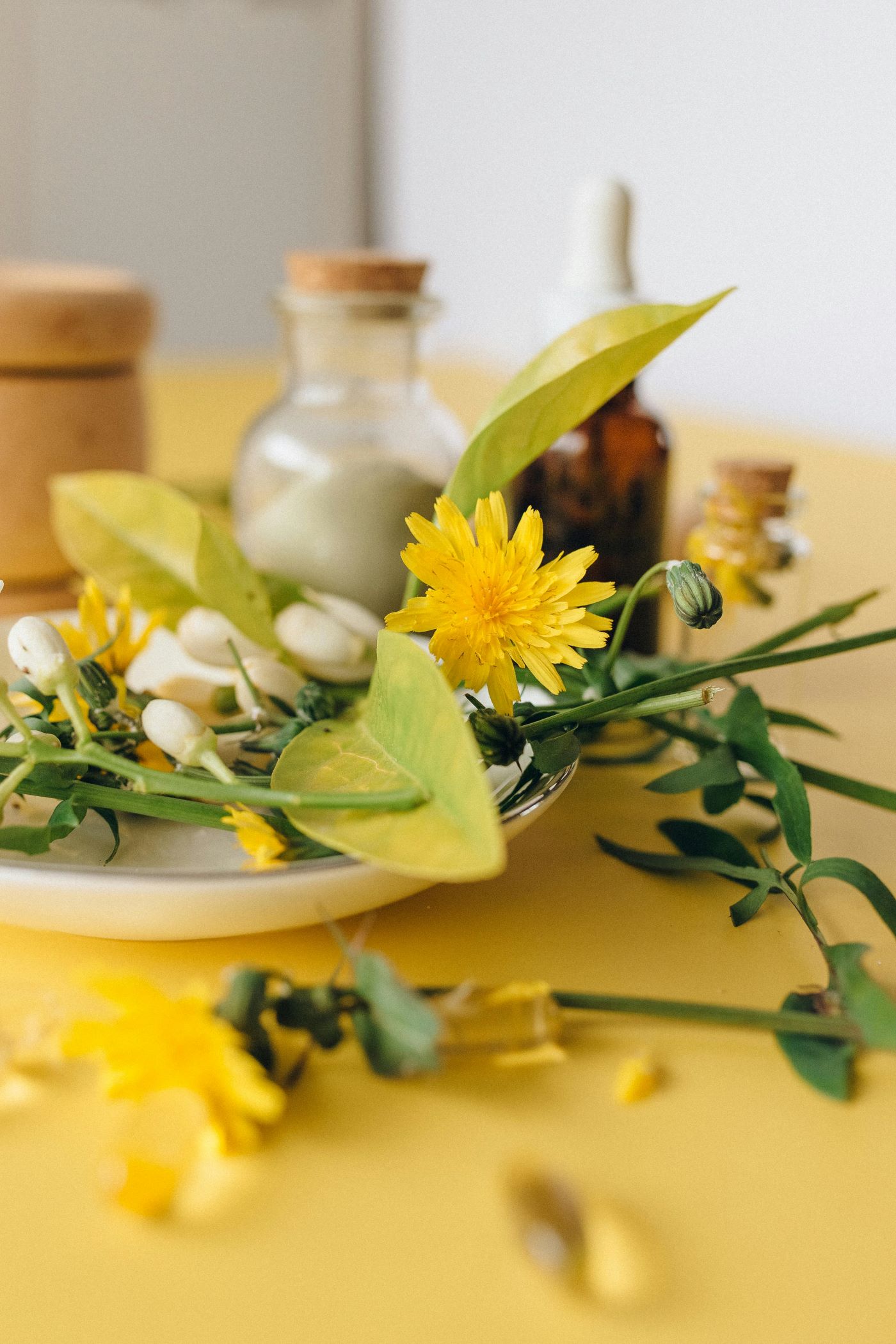 How Long Do Homeopathic Remedies Really Last? - Discovery Body 