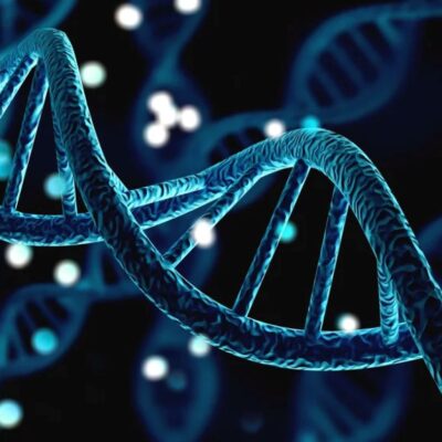 Genetic Predisposition vs. Susceptibility: Understanding the Difference