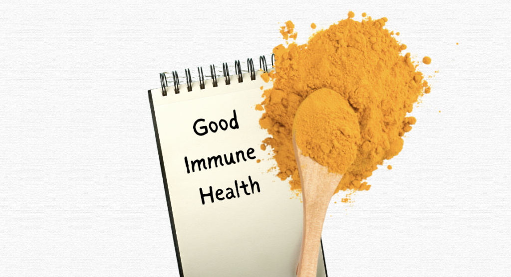 What Is The Potential of Turmeric to Your Immune Health