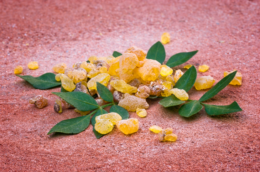 Boswellia: The Ultimate Guide to its Benefits