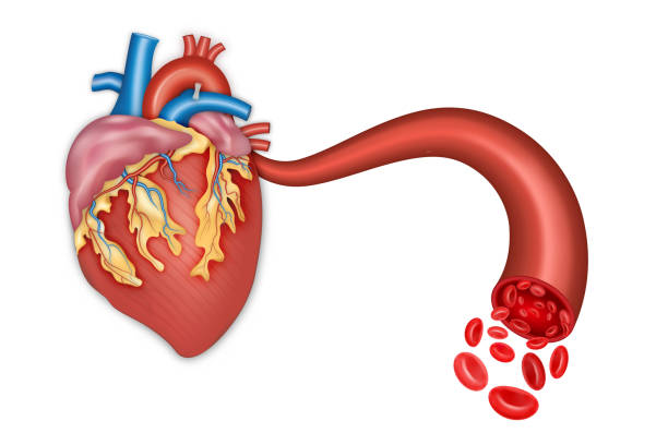 abnormal heart murmurs are produced by underlying cardiac abnormalities such as heart valve disease, congenital heart defects, or chamber problems.