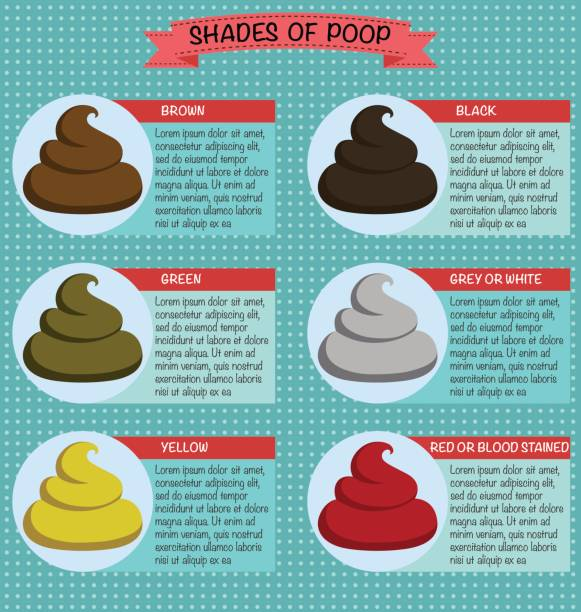 Poop Color and What it Indicates About Your Health
