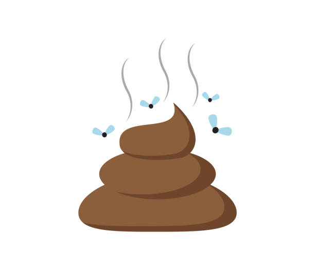 Smell and Odor of Poop and Potential Health Issues