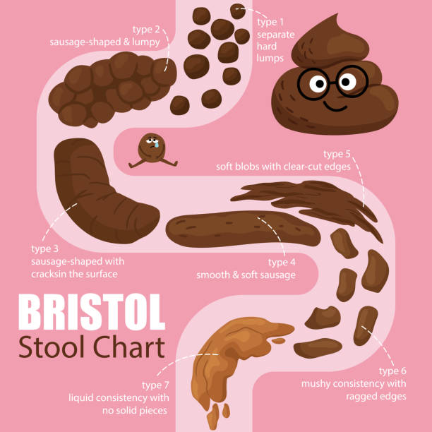 Stool: What Different Types Really Mean - Discovery Body