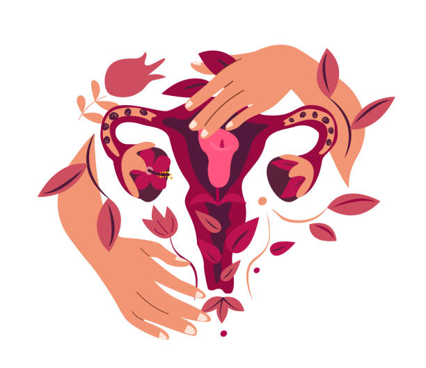 Perimenopause: The First Stage of Menopause