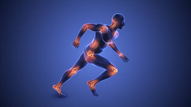 Inflammation is the immune system's natural response to prevent injury, infection, or disease.