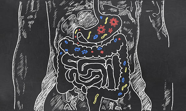 it is critical to focus on restoring the body's nutrient balance.