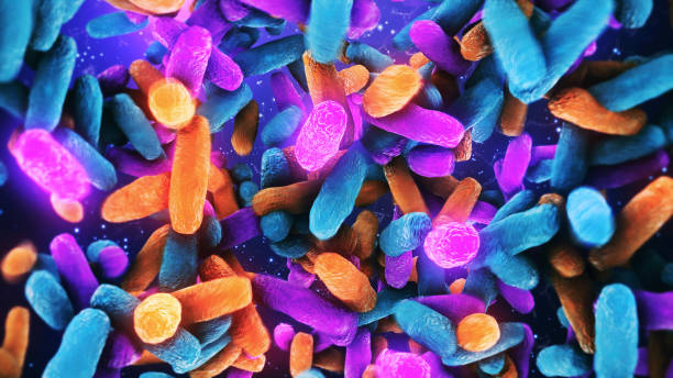 Probiotics are living microorganisms that promote gut health.
